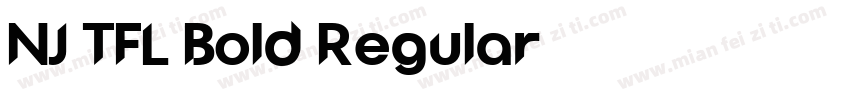 NJ TFL Bold Regular字体转换